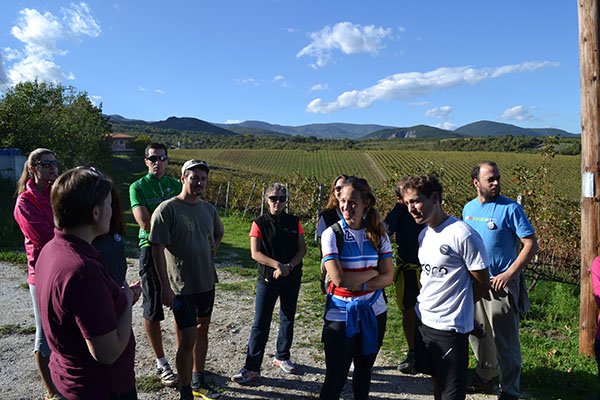 tirigiro - bike and wine tour in Naoussa