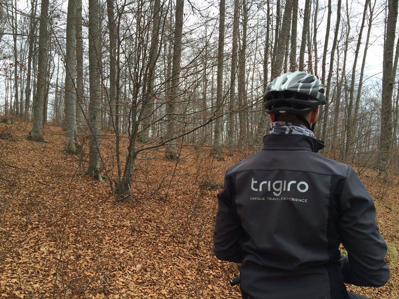 trigiro_unique_travel_experience_weekend_tour_activity_bike_trees_autumn