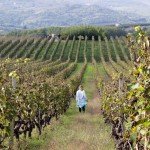 trigiro_wine_roads_north_greece-07